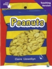 Image for Rigby Star Non-fiction Guided Reading Purple Level: Peanuts Teaching Version