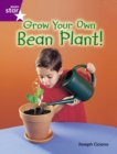 Image for Rigby Star Guid Year 2 Purple Level: Grow Your Own Bean Plant Guided Reading Pk Framework