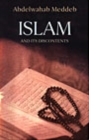 Image for Islam And Its Discontents