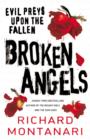 Image for Broken angels