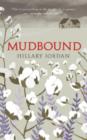 Image for Mudbound