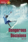 Image for Dangerous decisions : Advanced Level