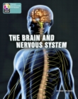 Image for PYP L10 Brain and Nervous System single