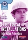 Image for Electrical installations: Interactive skills