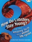 How do lobsters stay young? and other amazing facts about animal life cycles by Powell, Jillian cover image