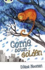Image for Bug Club Independent Fiction Year 3 Brown A Come Down, Golden