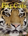 Image for BC NF Brown B/3B Big Cats