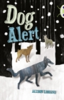Image for Bug Club Independent Fiction Year 4 Grey A Dog Alert