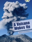 Image for A volcano wakes up