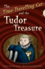 Image for The time-travelling cat and the Tudor treasure