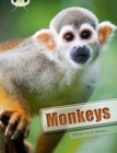 Image for Bug Club Guided Non Fiction Year 3 White A Monkeys