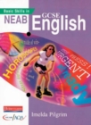 Image for Basic Skills in NEAB GCSE English