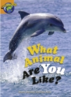 Image for Fact World Stage 4: What Animal Are You Like?
