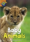 Image for Fact World Stage 4: Baby Animals