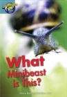 Image for Fact World Stage 6: What Minibeast Is This?