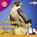 Image for My Gulf World and Me Level 4 non-fiction reader: Fantastic falcons