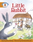 Image for Literacy Edition Storyworlds Stage 4, Once Upon A Time World, Little Rabbit (single)