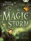 Image for Bug Club Guided Fiction Year Two Gold Tales of Taliesin: The Magic Storm