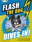 Image for Bug Club Independent Fiction Year 3 Brown B Flash the Dog Dives In!