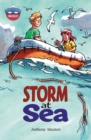 Image for Storm at sea