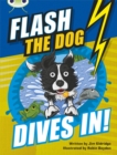 Image for Bug Club Brown B/3B Flash the Dog Dives In! 6-pack