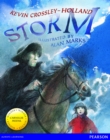 Image for Wordsmith Year 3 Storm