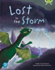 Image for Lost in the storm