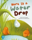 Image for Bug Club Shared Reading: Here is a Water Drop (Year 2)
