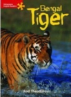 Image for Heinemann English Readers Non-fiction Bengal Tiger