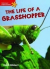 Image for Heinemann English Readers Elementary Science the Life of a Grasshopper