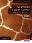 Image for ICT systems support pathway for the iPRO Certificate for IT practitionersLevel 2
