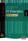 Image for e-Quals Level 1 for Office 2003 IT Principles