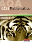 Image for AQA GCSE Maths Foundation Module 1 : Module 1
