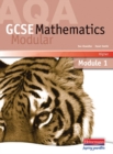 Image for AQA GCSE mathematics modular: Higher module 1