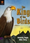 Image for The King of the Birds Big Book : Bahrain Readers Purple Level