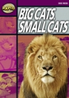 Image for Rapid Reading: Big Cats Small Cats (Stage 1, Level 1A)