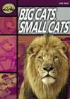 Image for Rapid Stage 1 Set A Reader Pack: Big Cats Small Cats (Series 1)