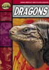 Image for Rapid Stage 2 Set B Reader Pack: Dragons (Series 1)