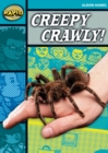 Image for Rapid Reading: Creepy, Crawly (Stage 3, Level 3B)