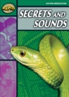 Image for Rapid Reading: Secrets &amp; Sounds (Stage 5, Level 5B)