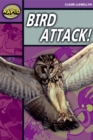 Image for Rapid Stage 1 Level B: Bird Attack! Reader Pack of  3 (Series 2)
