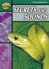 Image for Rapid Stage 5 Set B: Secrets &amp; Sounds Reader Pack of 3 (Series 2)