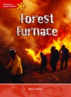 Image for HER Intermediate Level Non-Fiction: Forest Furnace