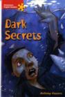 Image for Dark Secrets : Intermediate Level
