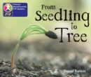 Image for Primary Years Programme Level 2 From Seedling to tree 6Pack