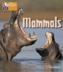 Image for PYP L6 Mammals single