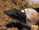 Image for PYP L6 Life Cycles single