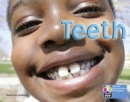 Image for PYP L7 Teeth single