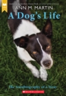 Image for A Dog&#39;s Life: The Autobiography of a Stray (Scholastic Gold)