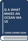Image for Q A WHAT MAKES AN OCEAN WAVE